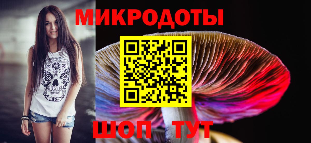 Брянск  Галлюциногенные грибы Cubensis  Вход с VPN 